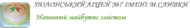 Полонський ліцей №7 імені М.Сливки